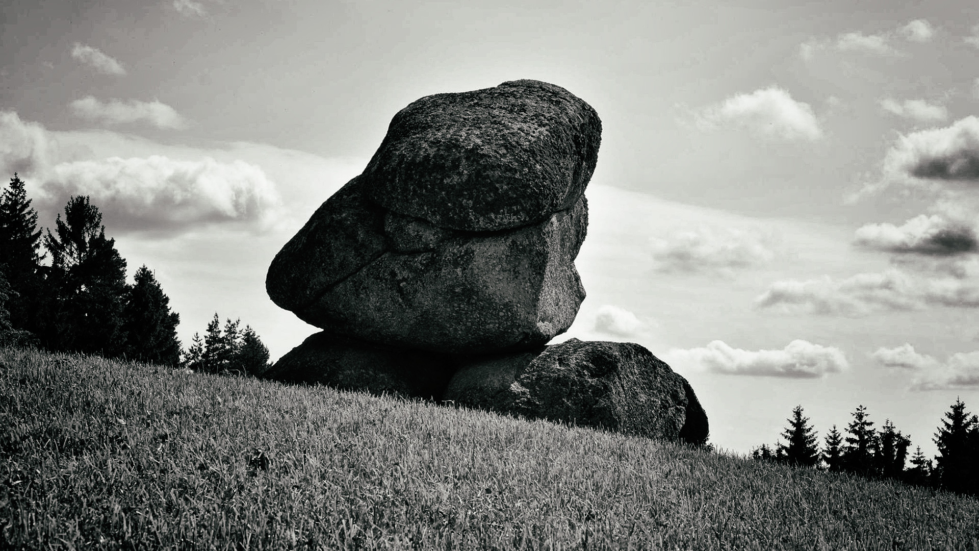 bewerbung nr. 1 auf jobauschreibung nr. 1
