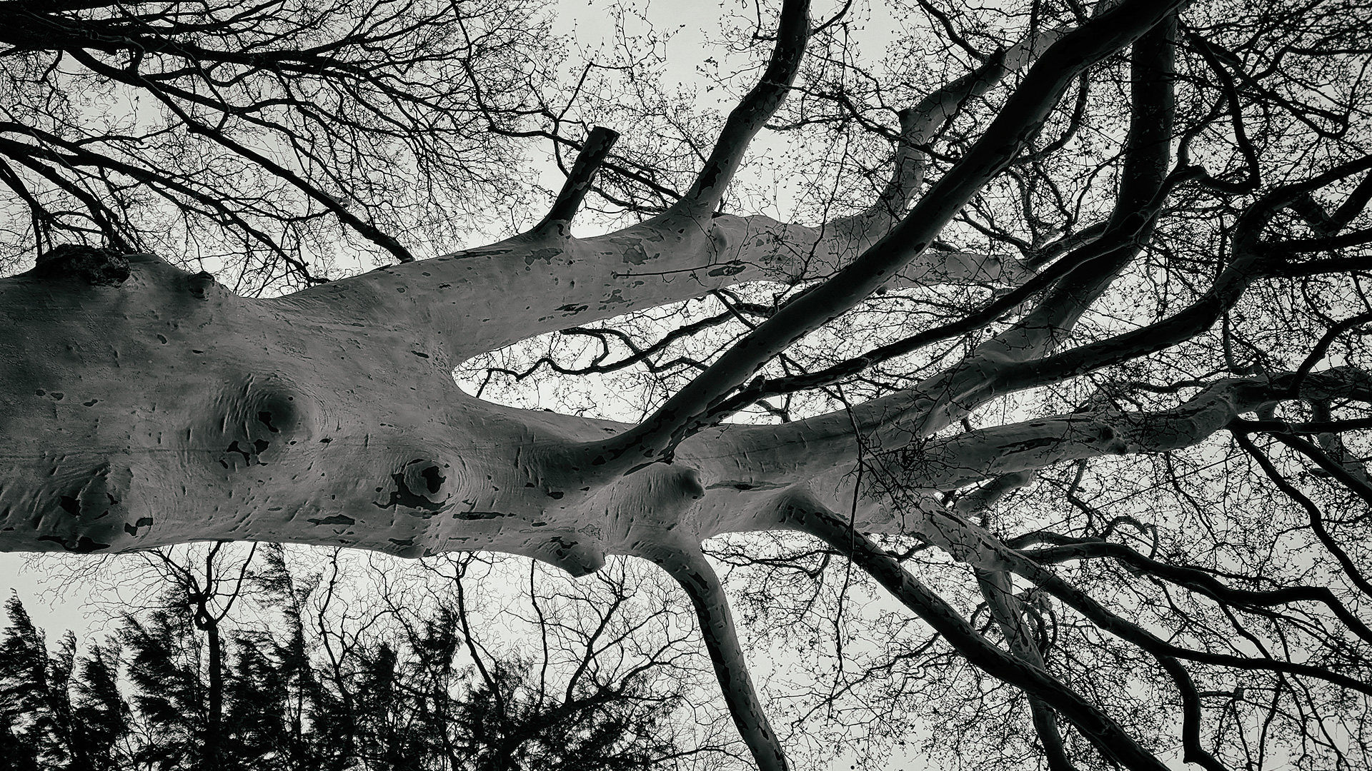 Danke, Herr Bayer, beruhigend, dass es Ihnen auch so ging