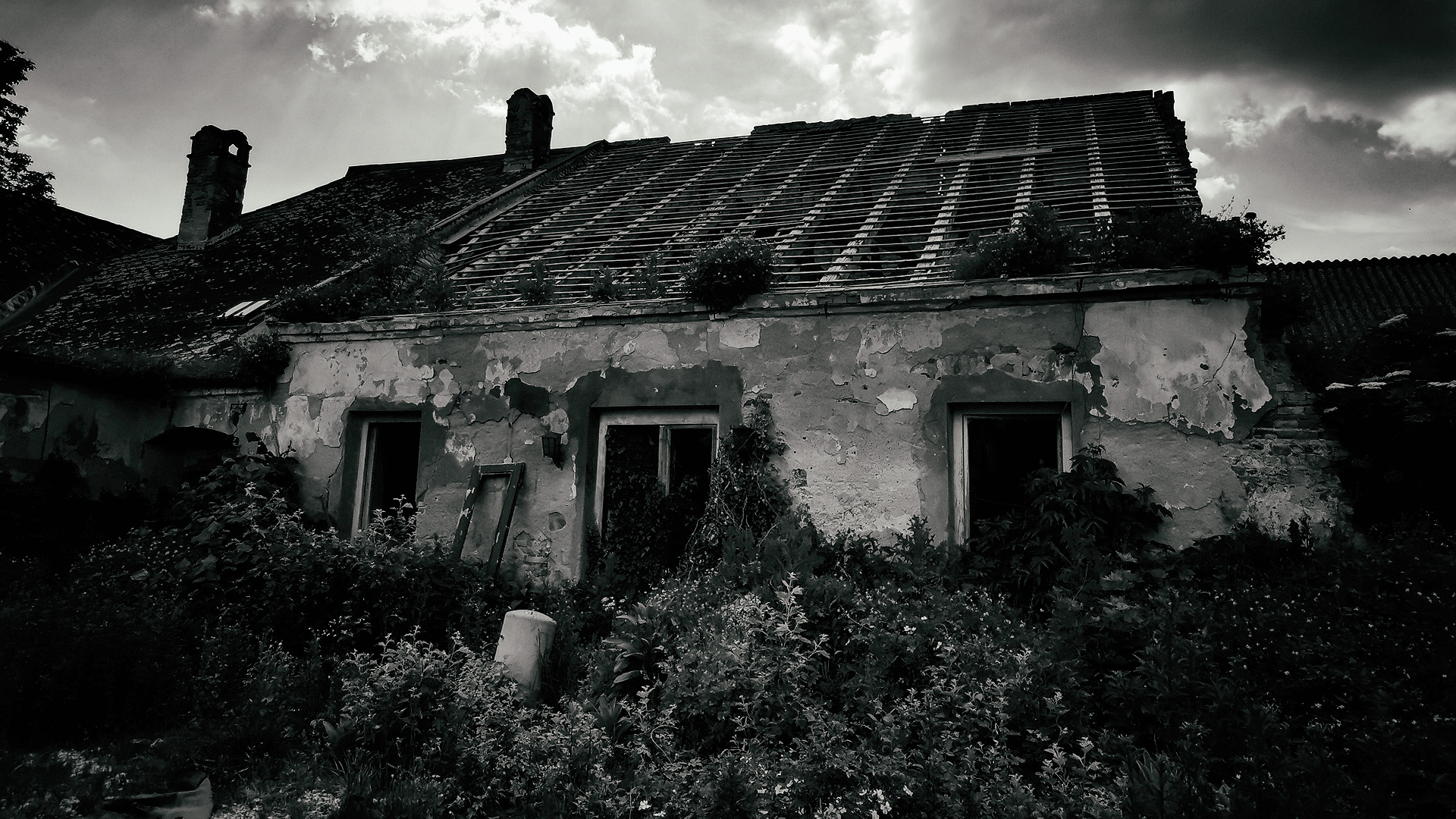 einäugige erleuchtung