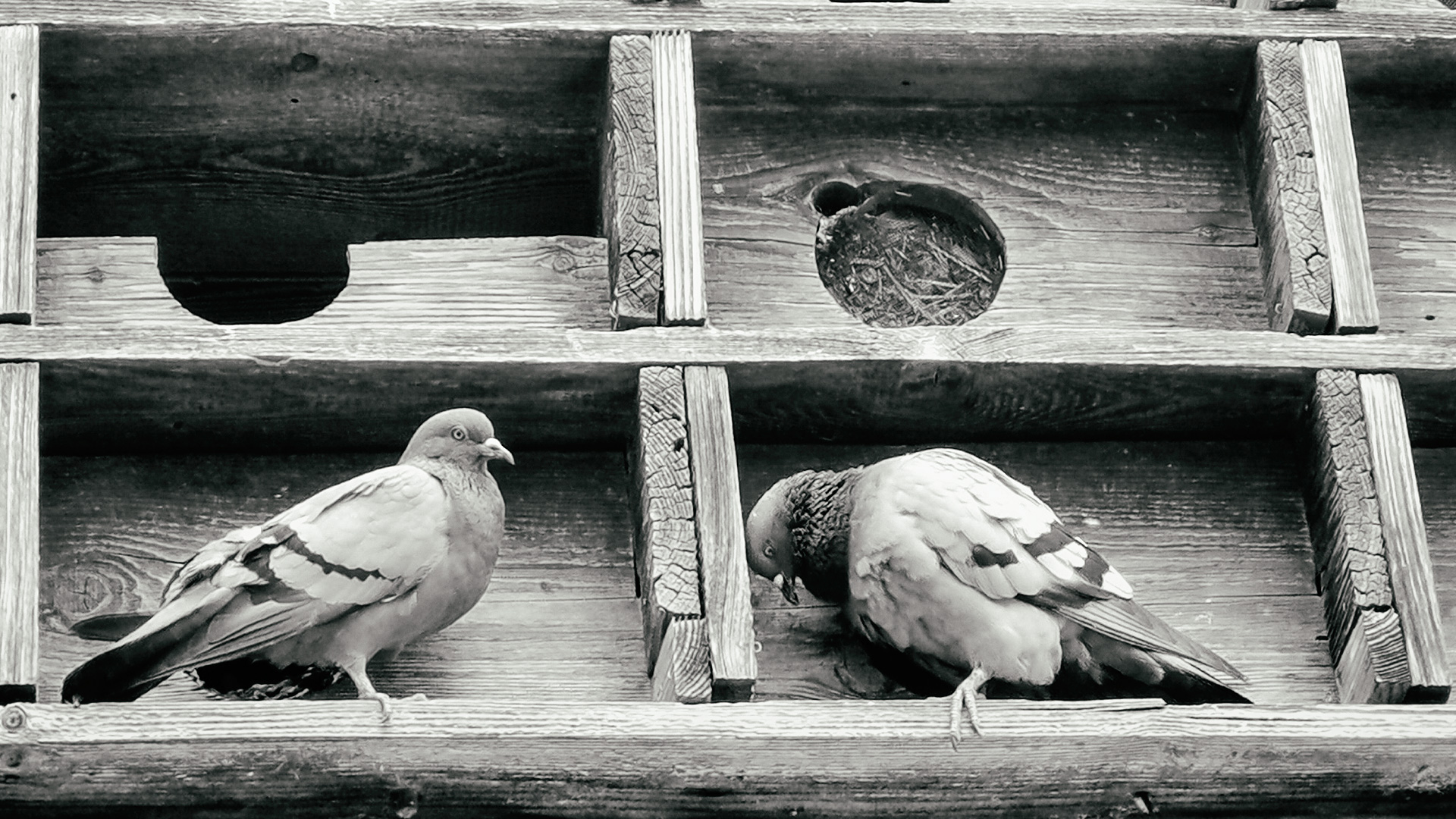 anfragen und anregungen an das kosmodrom-nowosindromsk