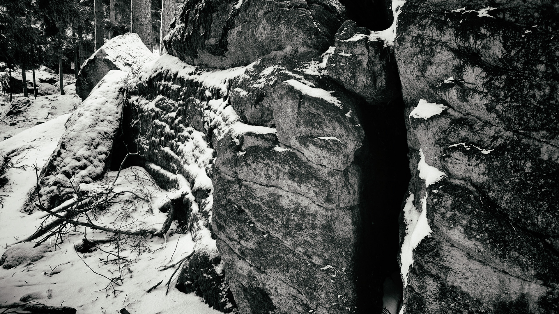 e-dialoge für den garantierten erfolg