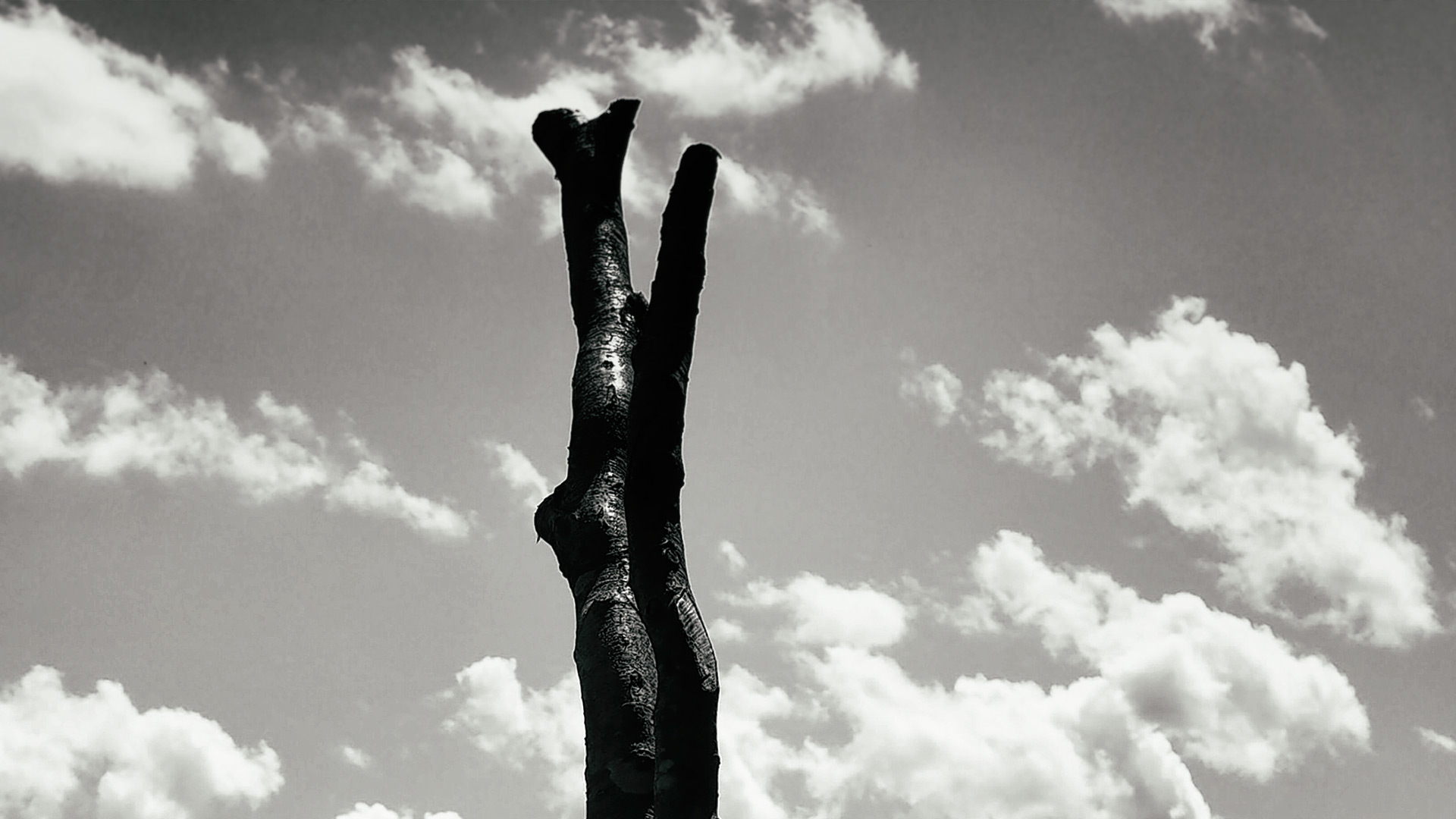 3 fundamentale fragen der menschheit