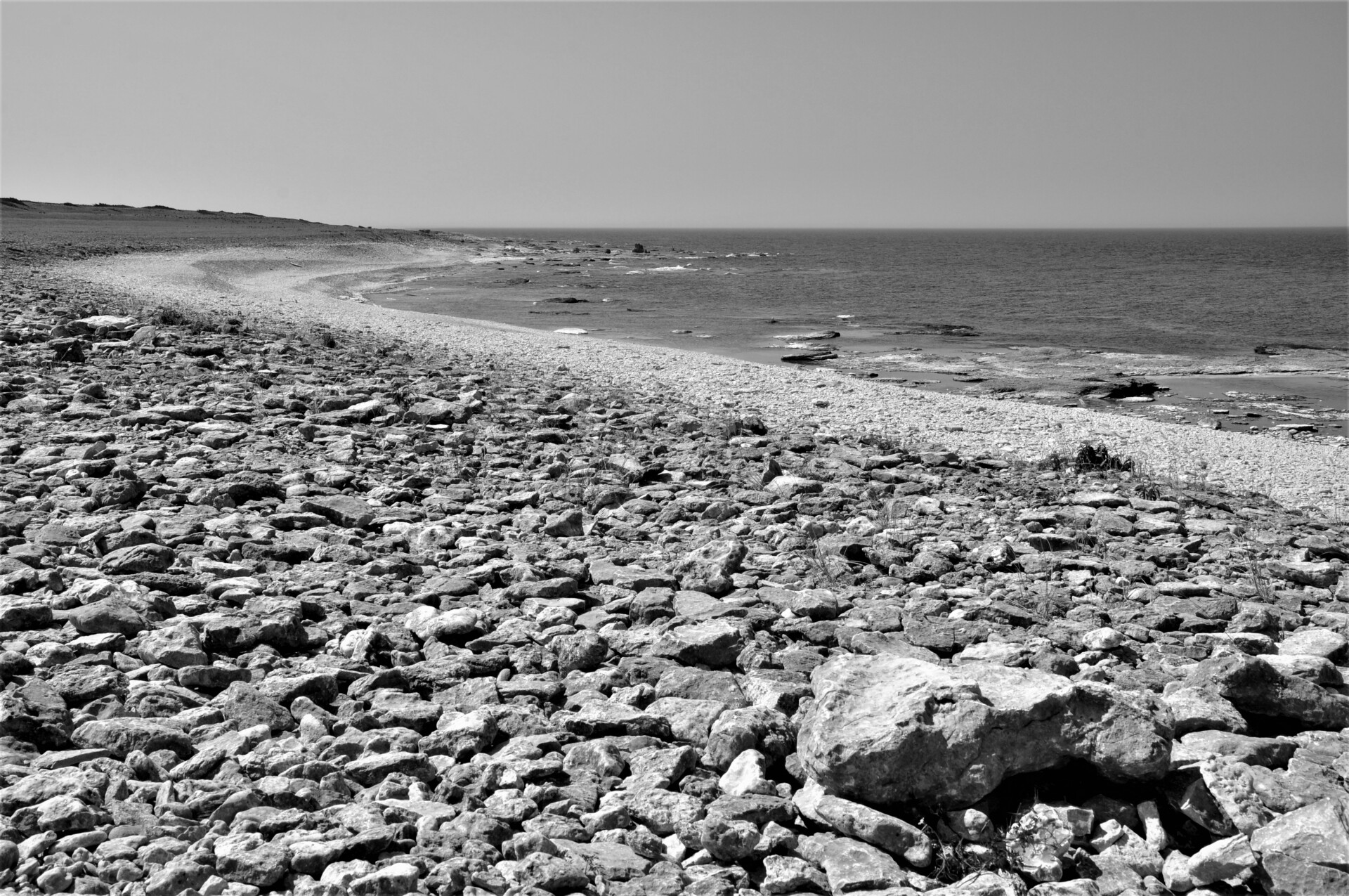 klopapier in zeiten wie diesen – rolle 1