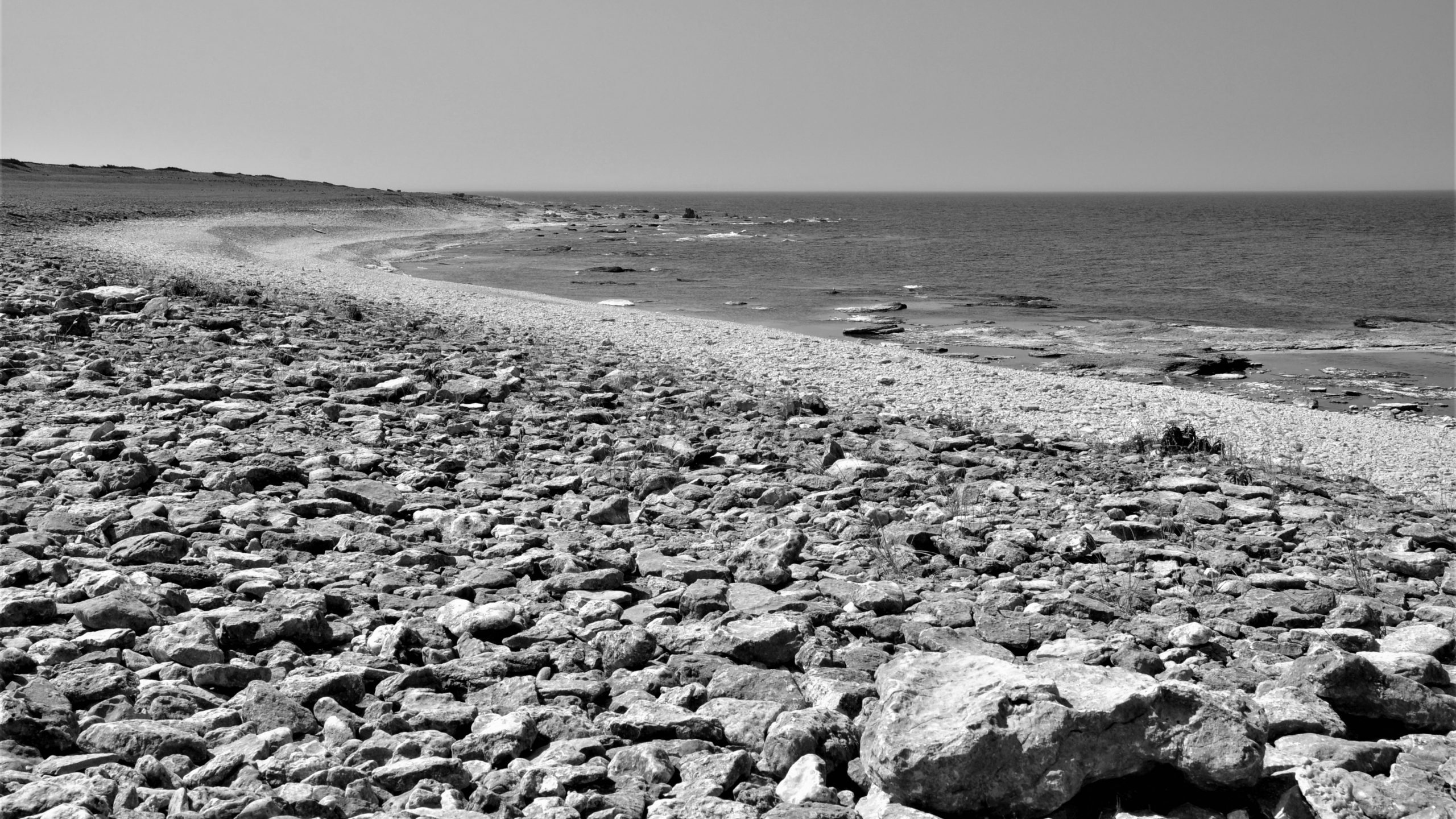 klopapier in zeiten wie diesen – rolle 1