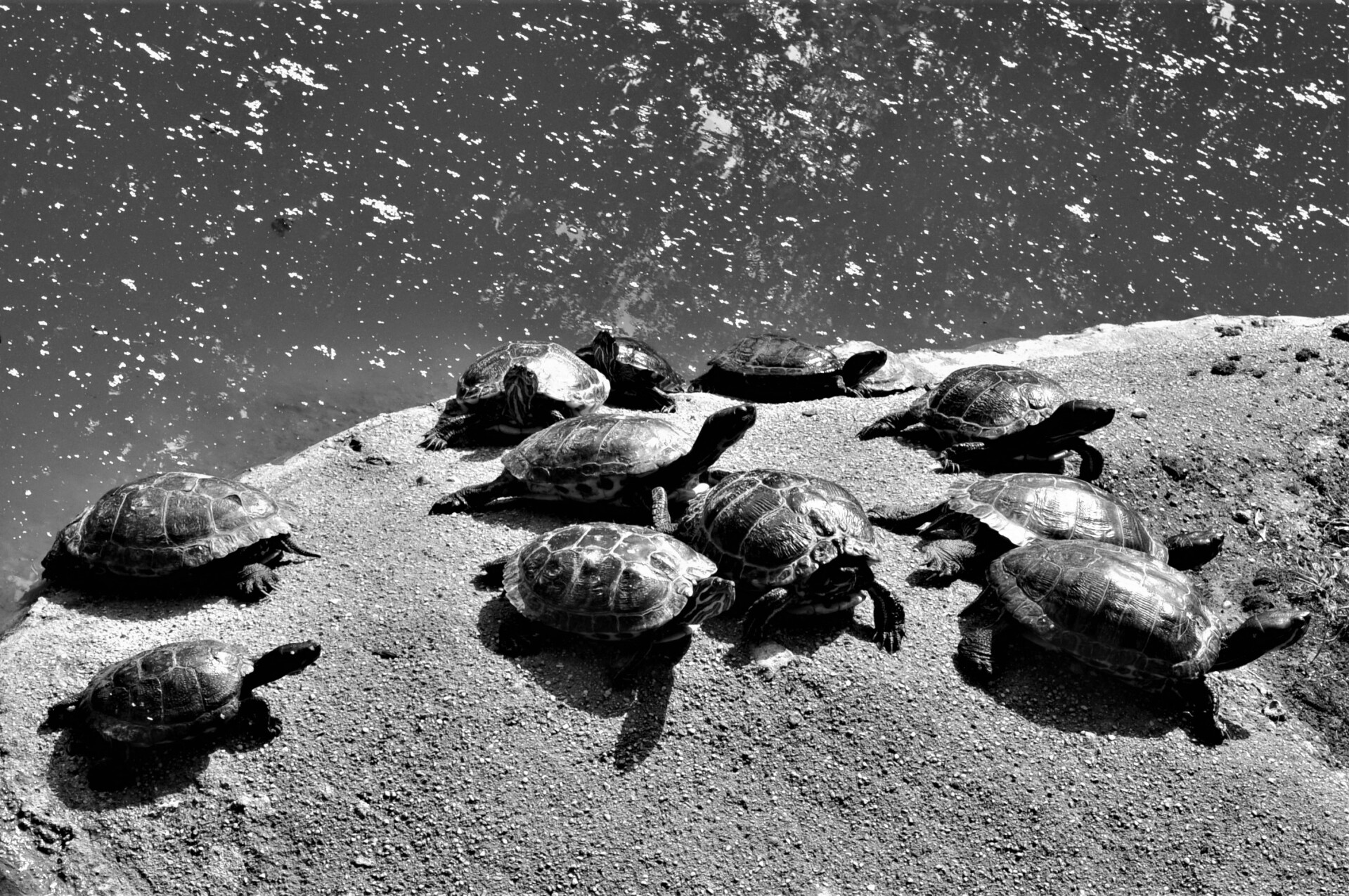 wo ist das kosmodrom geblieben?