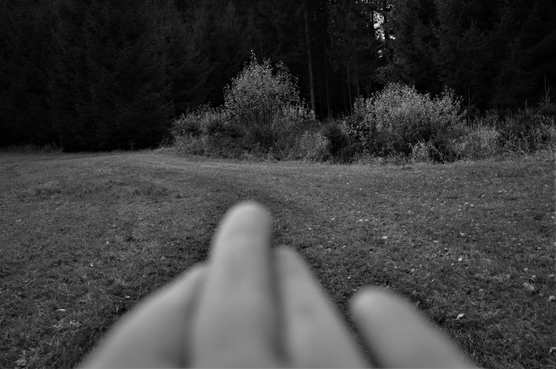 nanologie & labyrinthologie